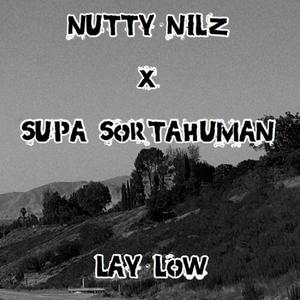 Lay Low(feat. Supa Sortahuman) (Explicit)