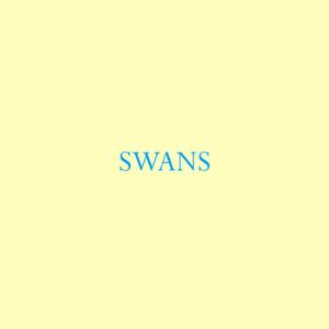 Swans
