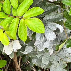 用爱去点亮不亮 (伴奏)