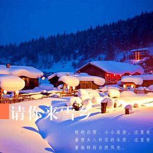 刘志久 - 雾凇情