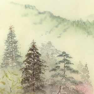 【古筝】雪落下的声音-毛小贝古筝