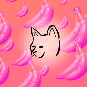 Somebody That I Used To Know (Lofi)