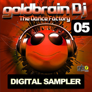 Goldbrain Dj 05 Digital Sampler