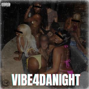 Vibe4DaNight (Explicit)