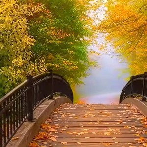 想你的雨季 (DJ版)