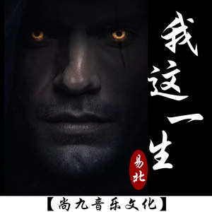 孤单的人孤单的歌 (DJ版)