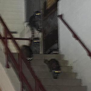 dunked in kerosene (Explicit)