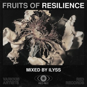 Fruits of Resilience (Mixed By Ilyss) [Explicit]