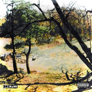 125 MY HOME (feat. JUT, treez, BH MALICE, r0th & Jus) (Explicit)