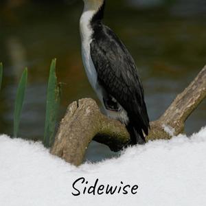Sidewise