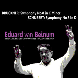 Symphony No. 3 in D Major, D. 200 - I. Adagio maestoso - Allegro con brio