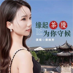 缘起茶陵为你守候- (Dj豪大大版)