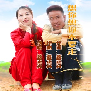 想你想你不要走