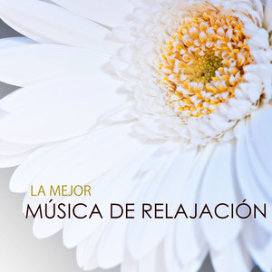 La Mejor Música de Relajación - Sonidos Ambientales de la Naturaleza