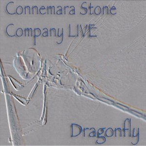 Dragonfly - Live at Folk im Schlosshof (Live)