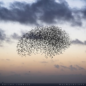 Murmurations