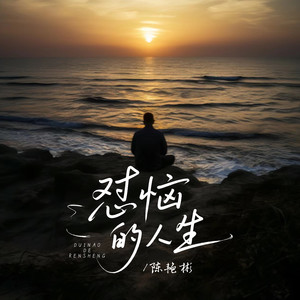 陈艳彬 - 怼恼的人生