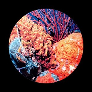 Mogadishu (Original Mix)