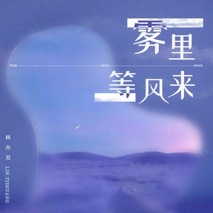 雾里等风来