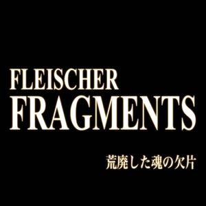 Fragments