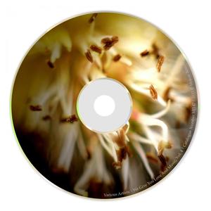 Psychodelic Passion (Original Mix)