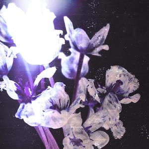 MAKEUP (feat. Little Knife) (Explicit)