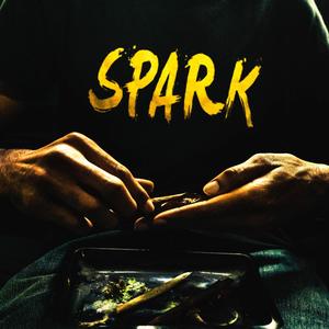 Spark 3 Jays (Explicit)