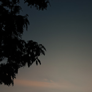 i've forgotten how it feels