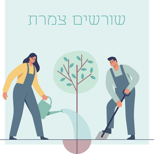 שורשים צמרת