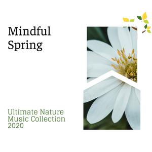 Mindful Spring - Ultimate Nature Music Collection 2020