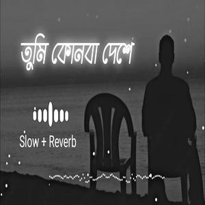 তুমি কোনবা দেশে