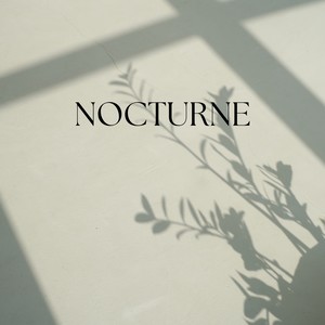 Nocturne