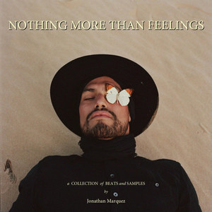 Nothing More Than Feelings: A Collection of Beats and Samples