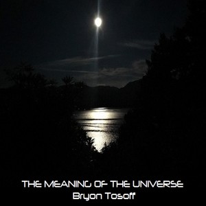 The Meaning of the Universe