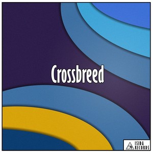 srossbreed (Original Mix)
