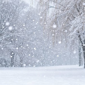 小半 (R&B氛围版)