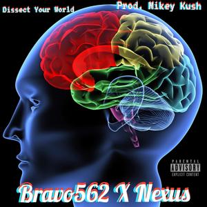 Dissect Your World (feat. Nexus & Mikey Kush) [Explicit]