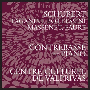 Arpeggione Sonata in A Minor, D. 821 (Arr. for Double Bass & Piano) - Arpeggione Sonata in A Minor, D. 821 (Arr. for Double Bass & Piano): I. Allegro moderato