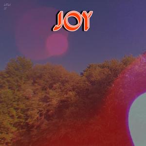 Joy (Explicit)