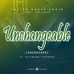 Unchangeable (feat. Richmond Stephens)