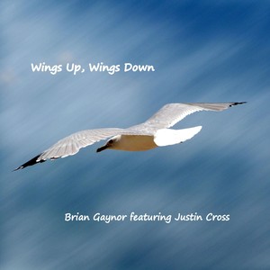 Wings Up, Wings Down (feat. Justin Cross)