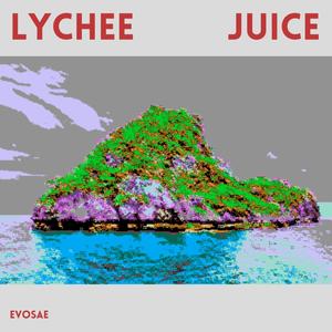 Lychee Juice