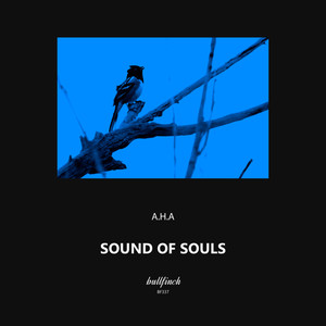 Sound of Souls