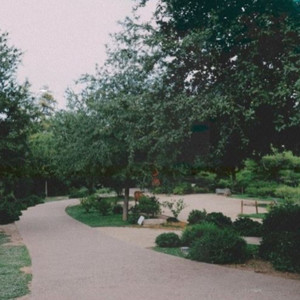 Our Desires Are Different