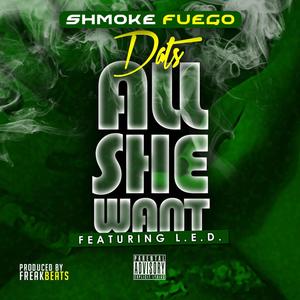 Dats All She Want (feat. L.E.D) (Explicit)