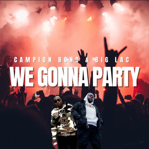 We Gonna Party