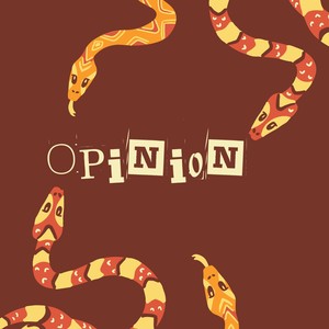 Opinion