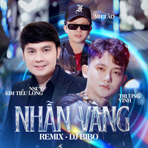 Nhẫn Vàng (BiBo Remix)