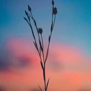 Just Dancin with My Eyes Closed (Sped)