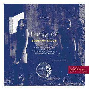 Bleeping Sauce - What You Gonna Do (Gui Boratto Remix)